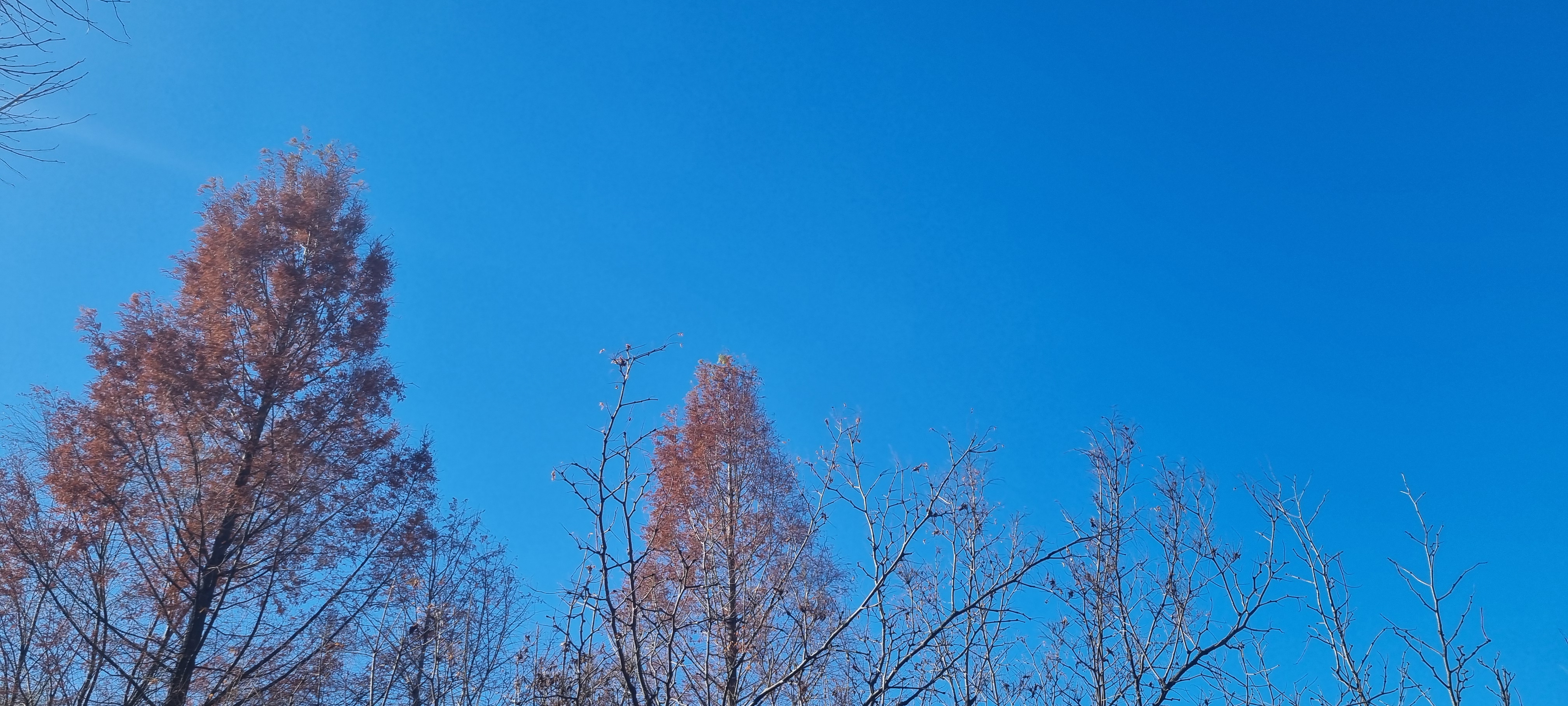 프로필 사진